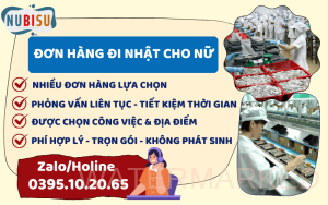 nữ đi nhật nên chọn đơn hàng nào