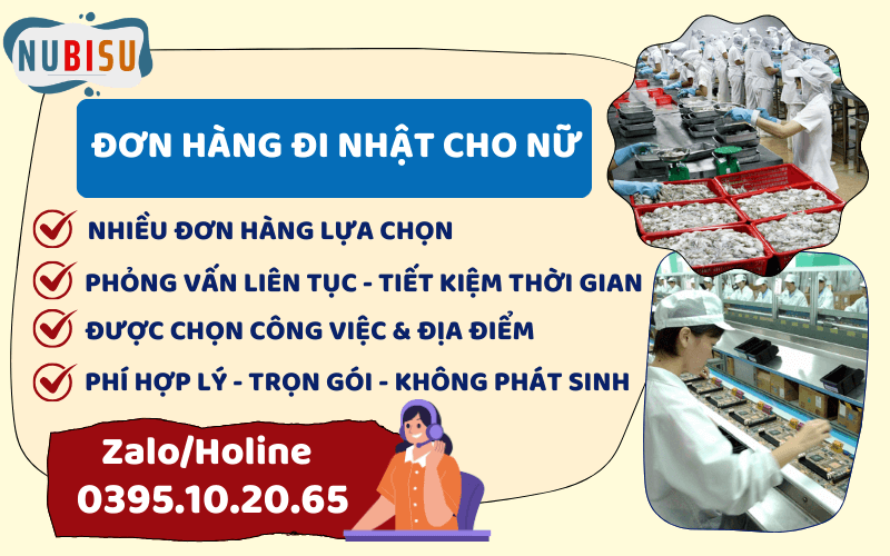 nữ đi nhật nên chọn đơn hàng nào