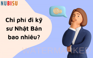 chi phí đi kỹ sư nhật bản