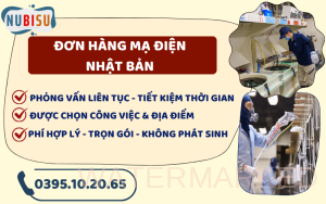 đơn hàng mạ điện nhật bản