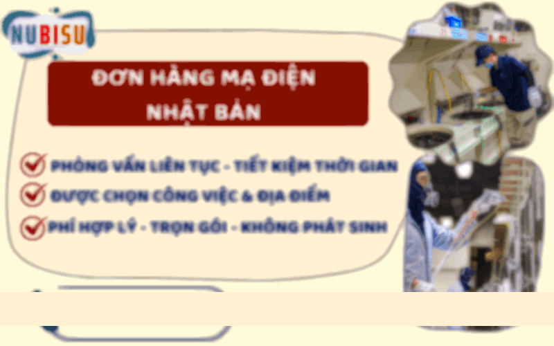đơn hàng mạ điện nhật bản