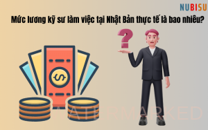 lương kỹ sư nhật bản