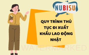 quy trình đi xkld nhật bản