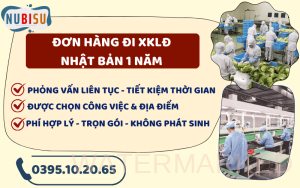 xkld nhật bản 1 năm