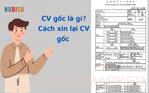 cv gốc là gì