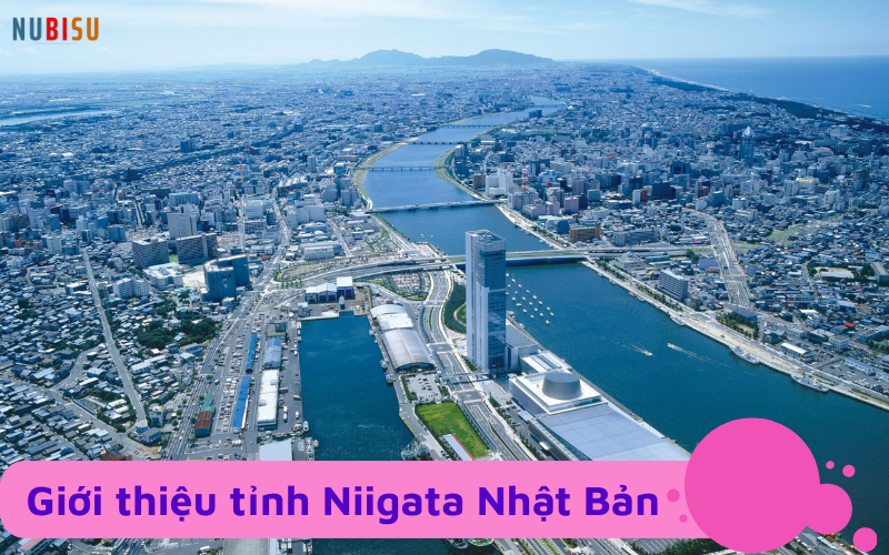 Niigata Nhật Bản