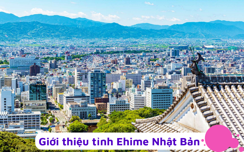 Tỉnh Ehime Nhật Bản