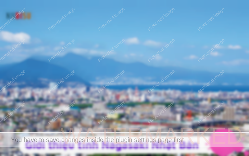 Tỉnh Oita Nhật Bản