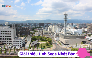 Tỉnh Saga Nhật Bản