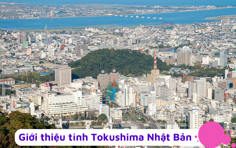 Tỉnh Tokushima Nhật Bản