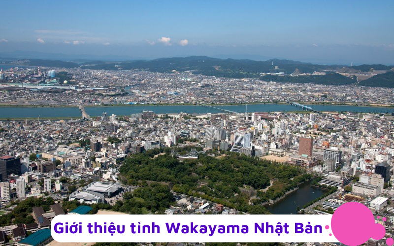 wakayama nhật bản