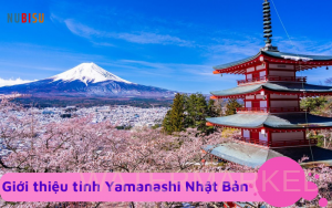 yamanashi nhật bản
