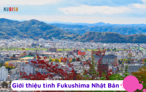 Tỉnh Fukushima Nhật Bản
