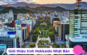 Tỉnh Hokkaido Nhật Bản