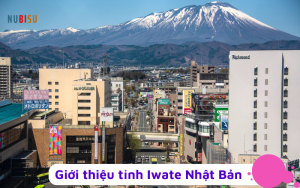 Tỉnh Iwate Nhật Bản
