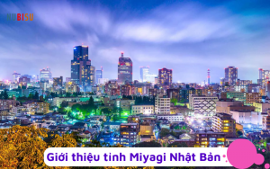 Tỉnh Miyagi Nhật Bản