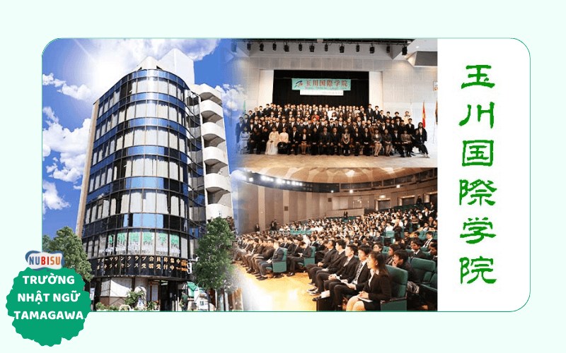 trường nhật ngữ tamagawa