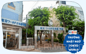 trường nhật ngữ tokyo world