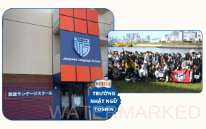 trường nhật ngữ toshin